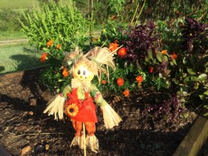 Cute scarecrow with flowers and herbs from Marisol.