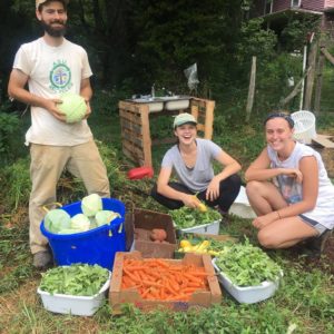 Matt and his interns showing off their harvest earlier this summer. 
