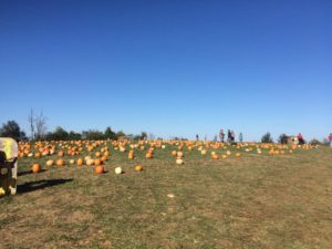 14877239_10155353520608625_1460262443_n