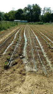 img_20160910_161524754