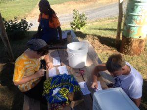 Students prepare outreach material to invite the communities, especially the Sowing Seeds children and their families, to the Community Food Forest event.