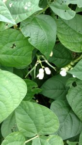 img_20161022_130327229