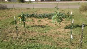 img_20161025_153048434