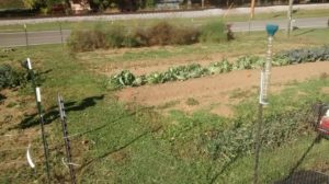 img_20161025_153051490