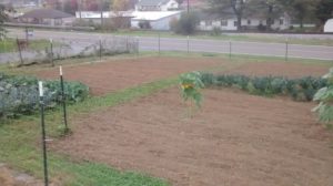 img_20161027_121417839