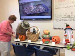 I wish this pic was much closer so you could see more details on the amazing pumpkin on the left and the cat next to it that of our ladies entered in the adult pumpkin carving contest.  