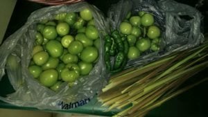 Pepper, green tomatoes and lemongrass harvest