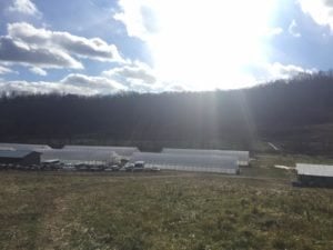 15492621_10154211397496395_8396305092393659480_n