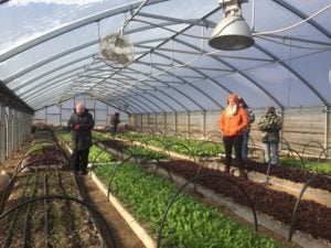 15590480_10154211413116395_2484259929177578538_n