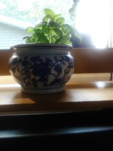 Basil