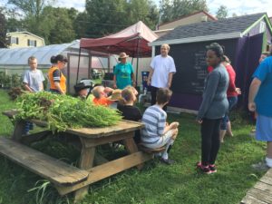 Middle Schoolers and High Schoolers work together in a mentorship program to share gardening knowledge.