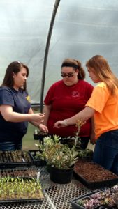 IMG_20170329_142212588