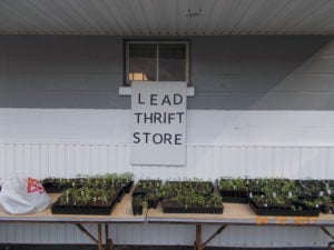 Plants that we will be giving to the gardeners.