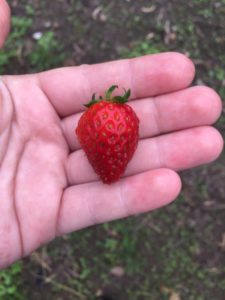 18280944_1849134778745206_1411005446_n