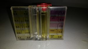 ph kit with vinegar added