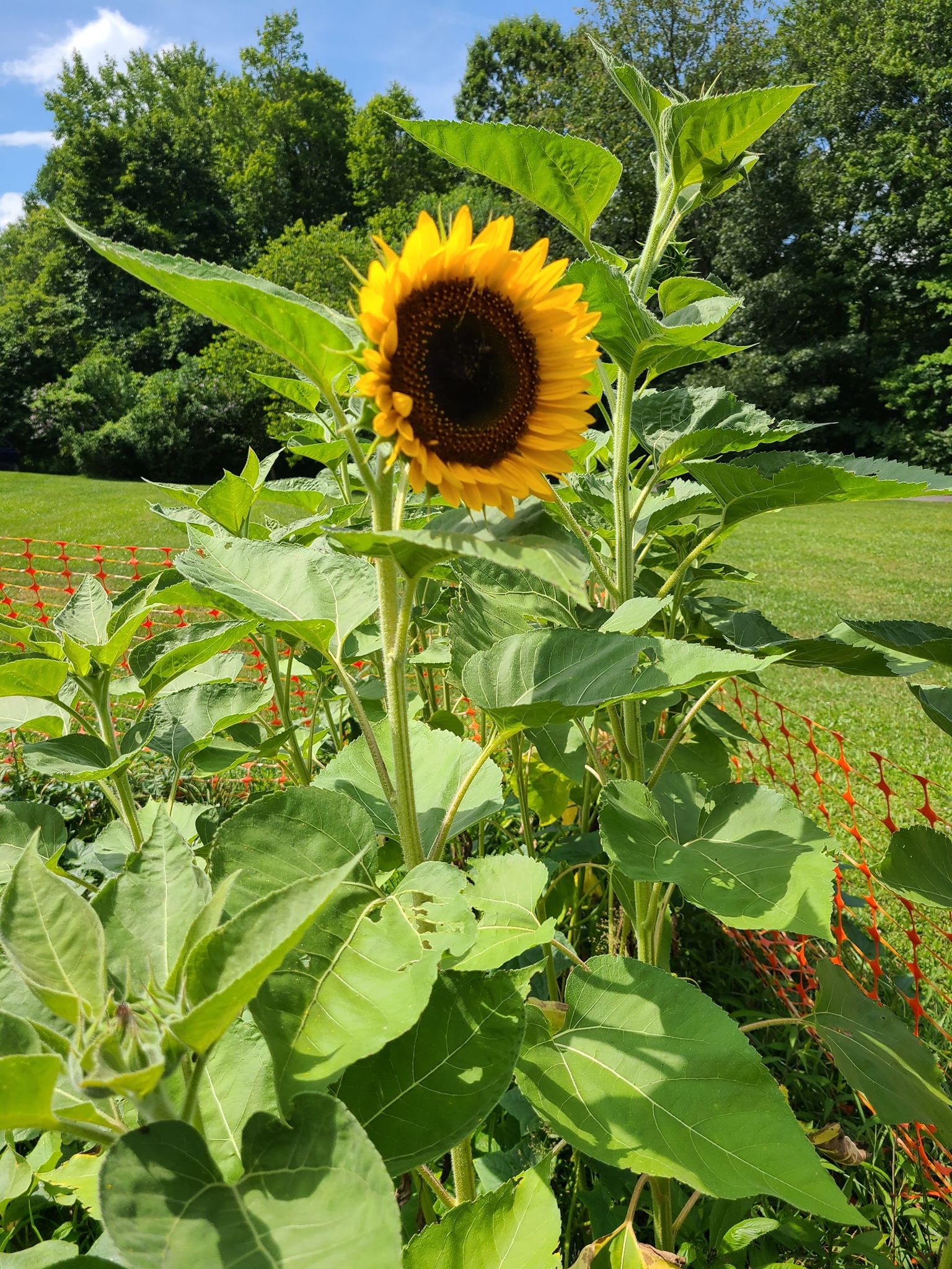 111149346_208903217166119_5979759376498533733_n