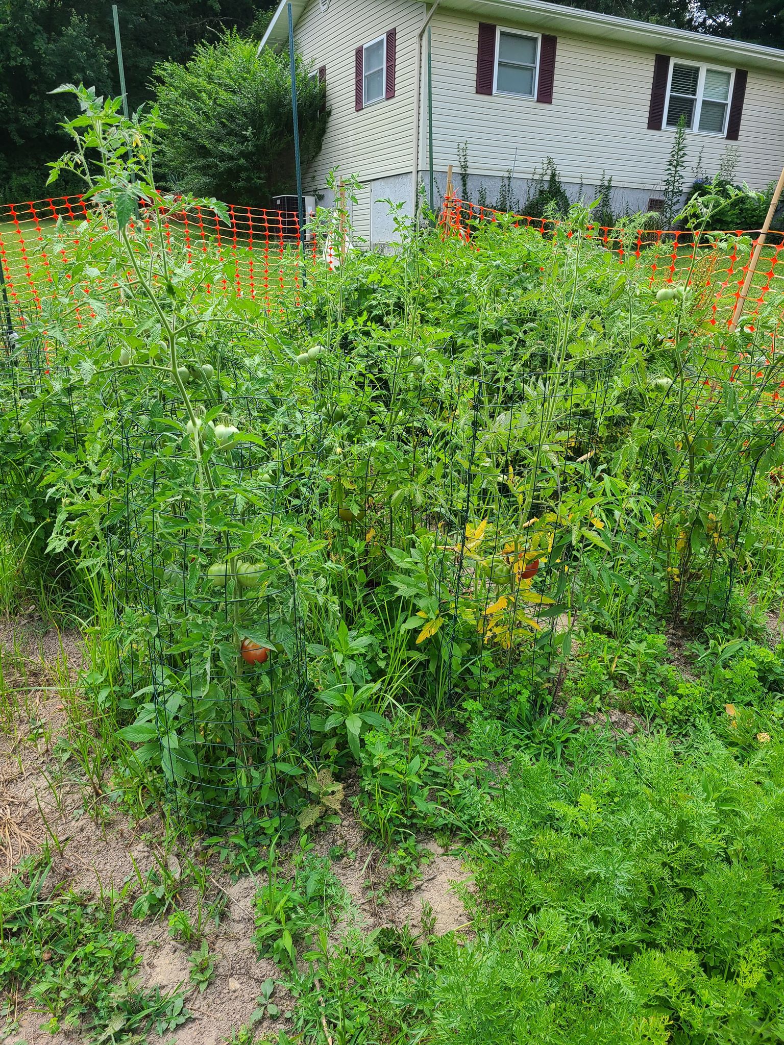 111358371_2775716732754027_7907345090831223704_n