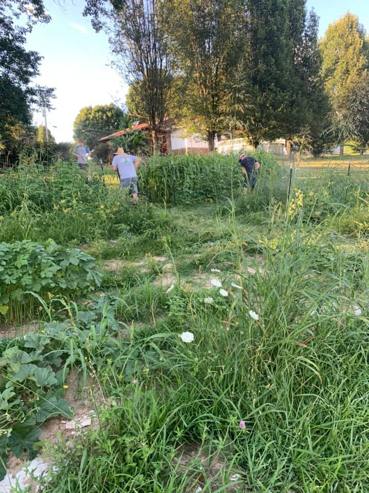 Morristown TN Garden 01