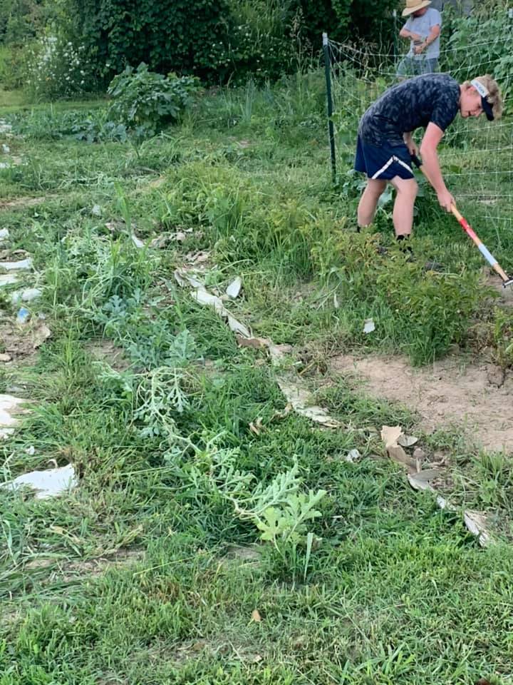 Morristown TN Garden 03