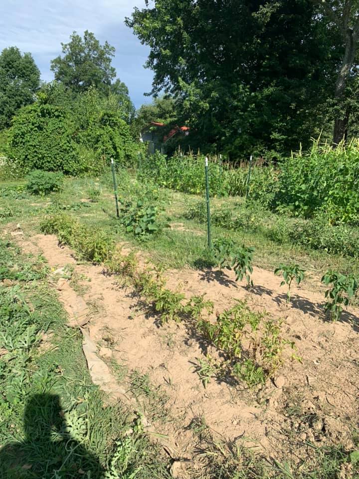 Morristown TN Garden 10