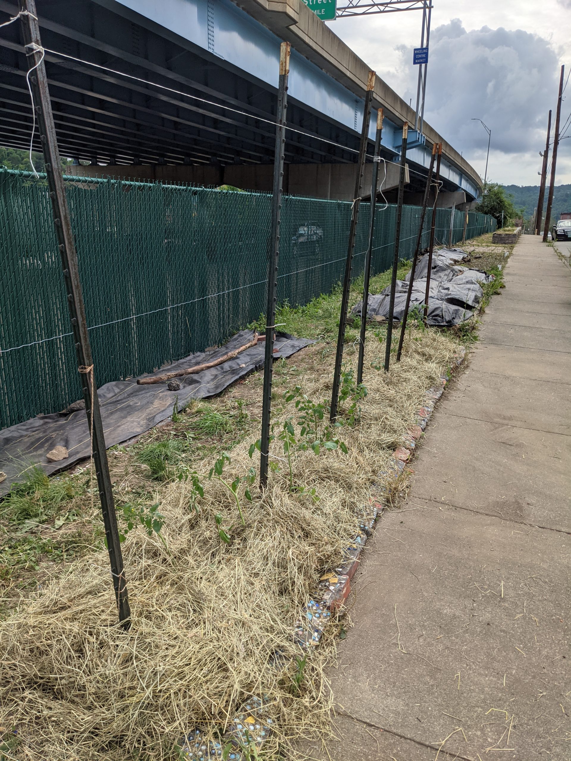 PXL_20210609_203129540