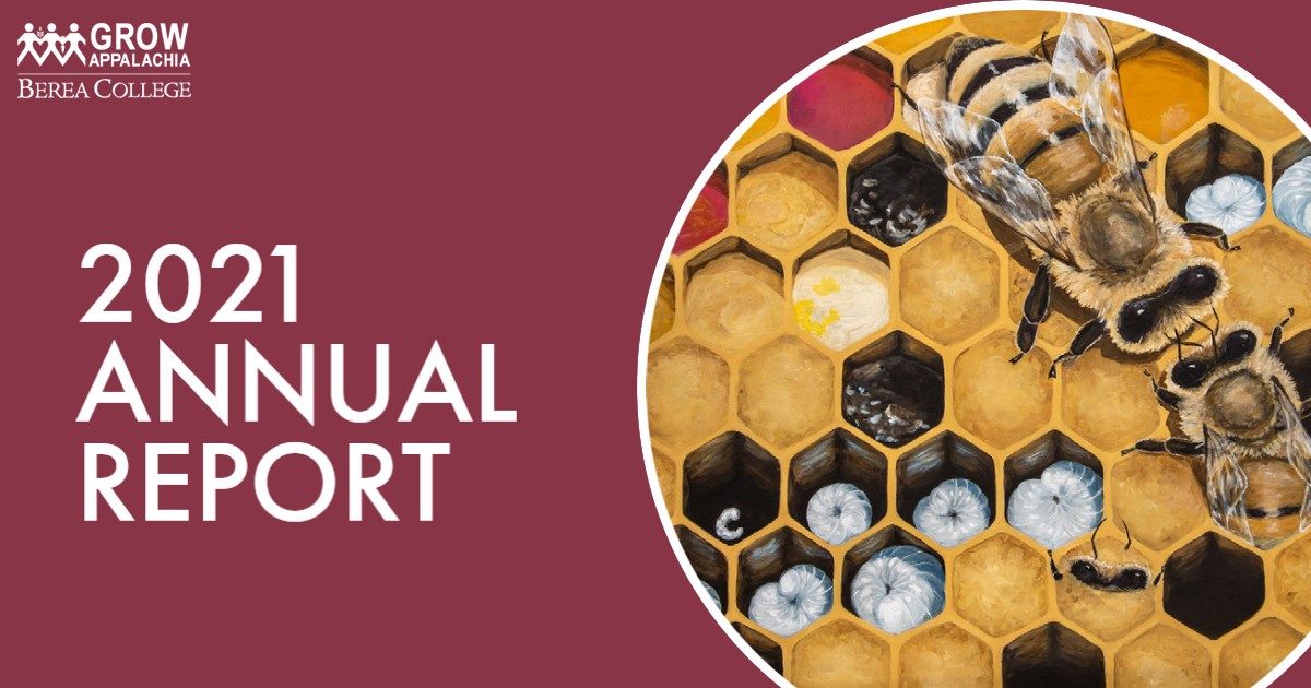Annual Report Header Website