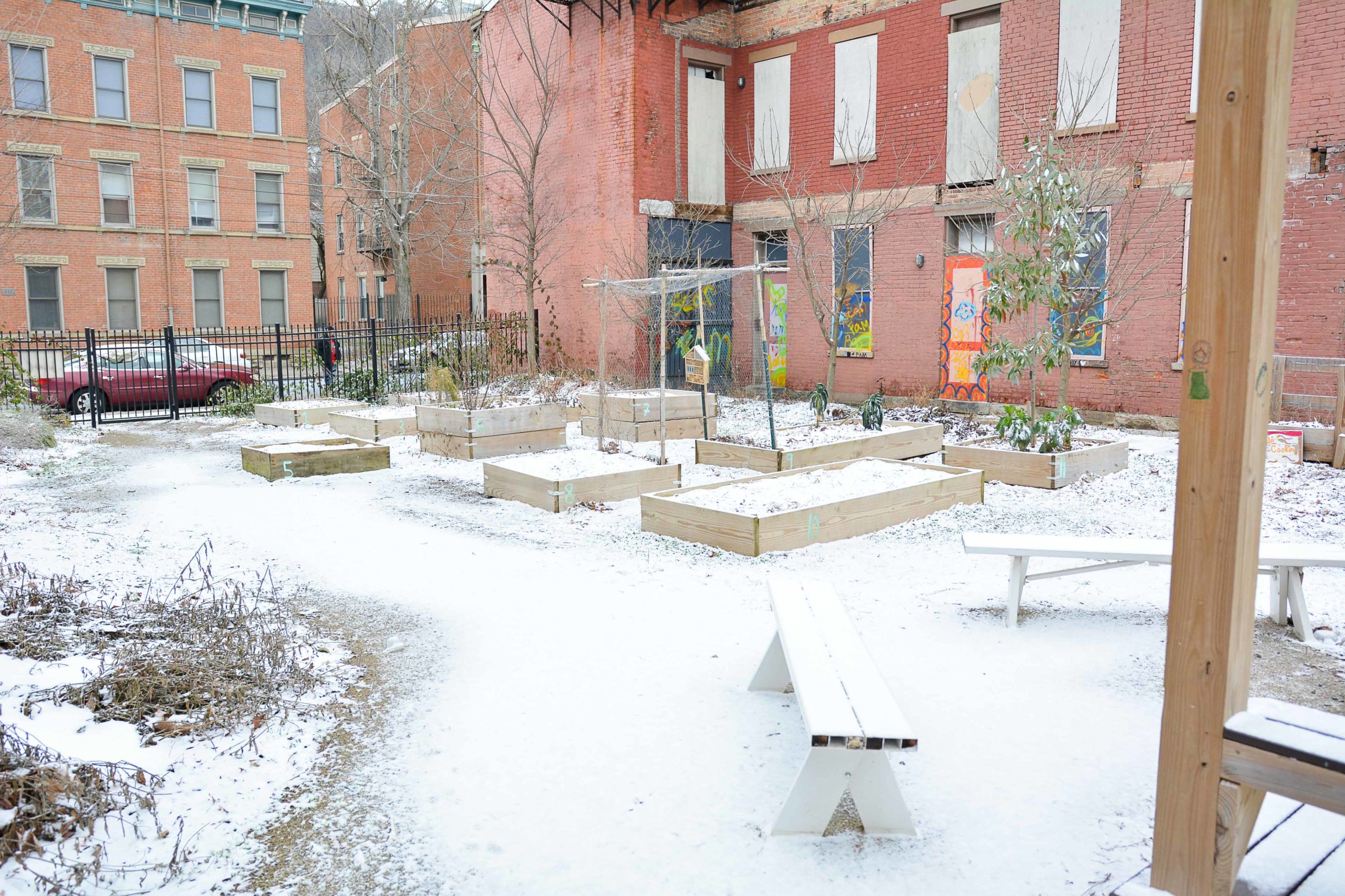 Picture shows a community garden with raise beds covered in a light snow.