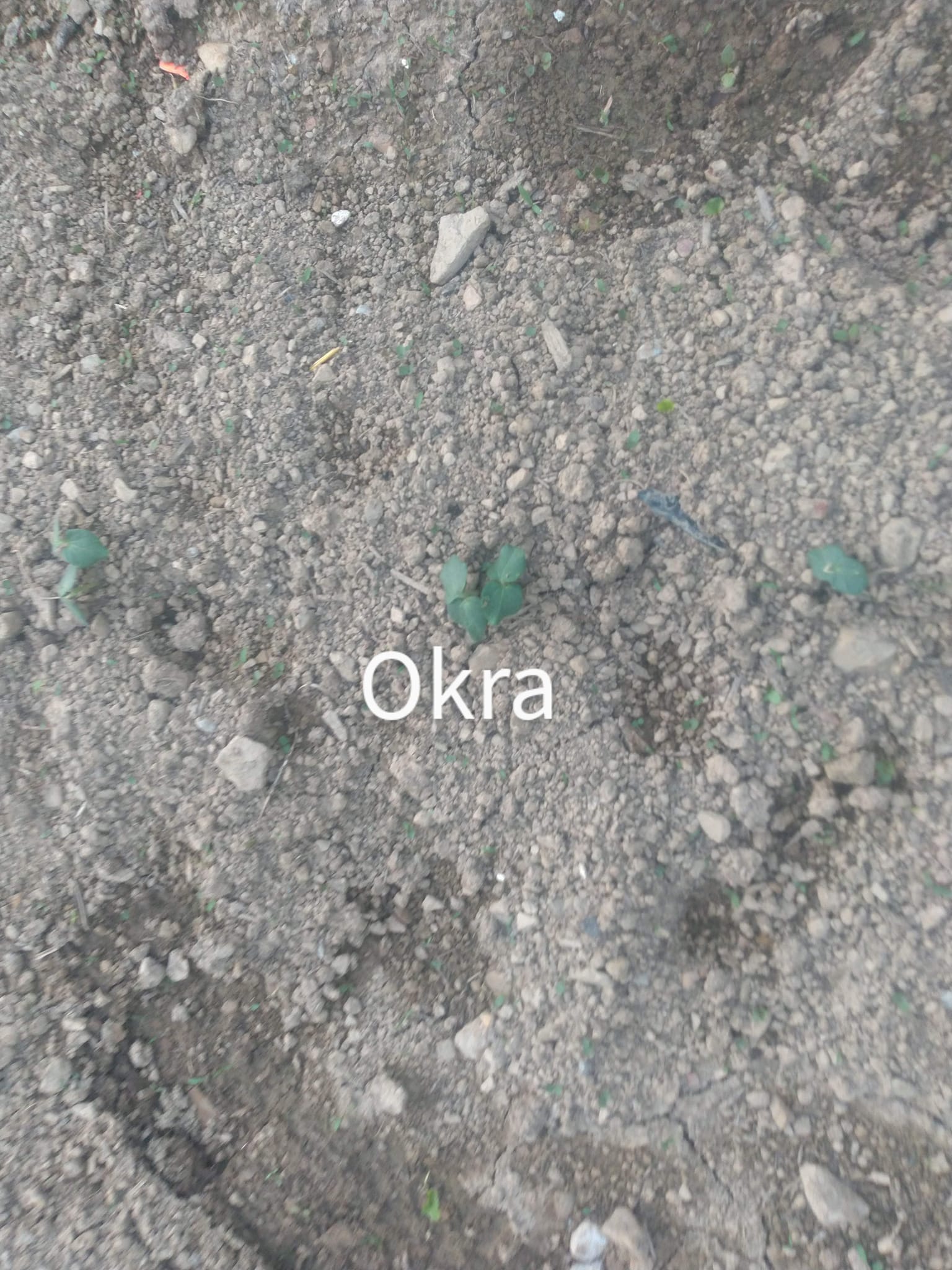 283466031_5152249824835030_226781785296885726_n