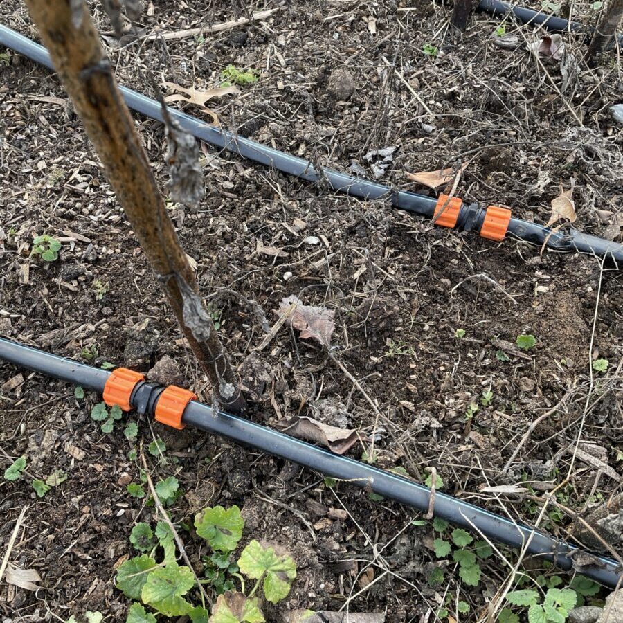 drip tape coupling drip tape coupling
