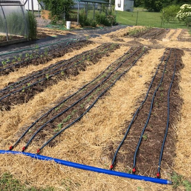 glades irrigation drip irrigation glades garden