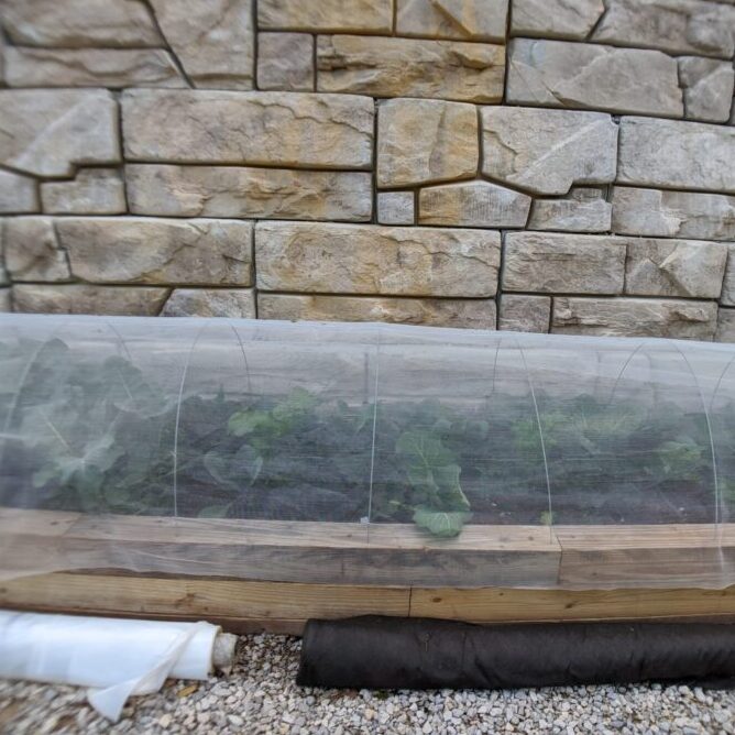 insect netting2