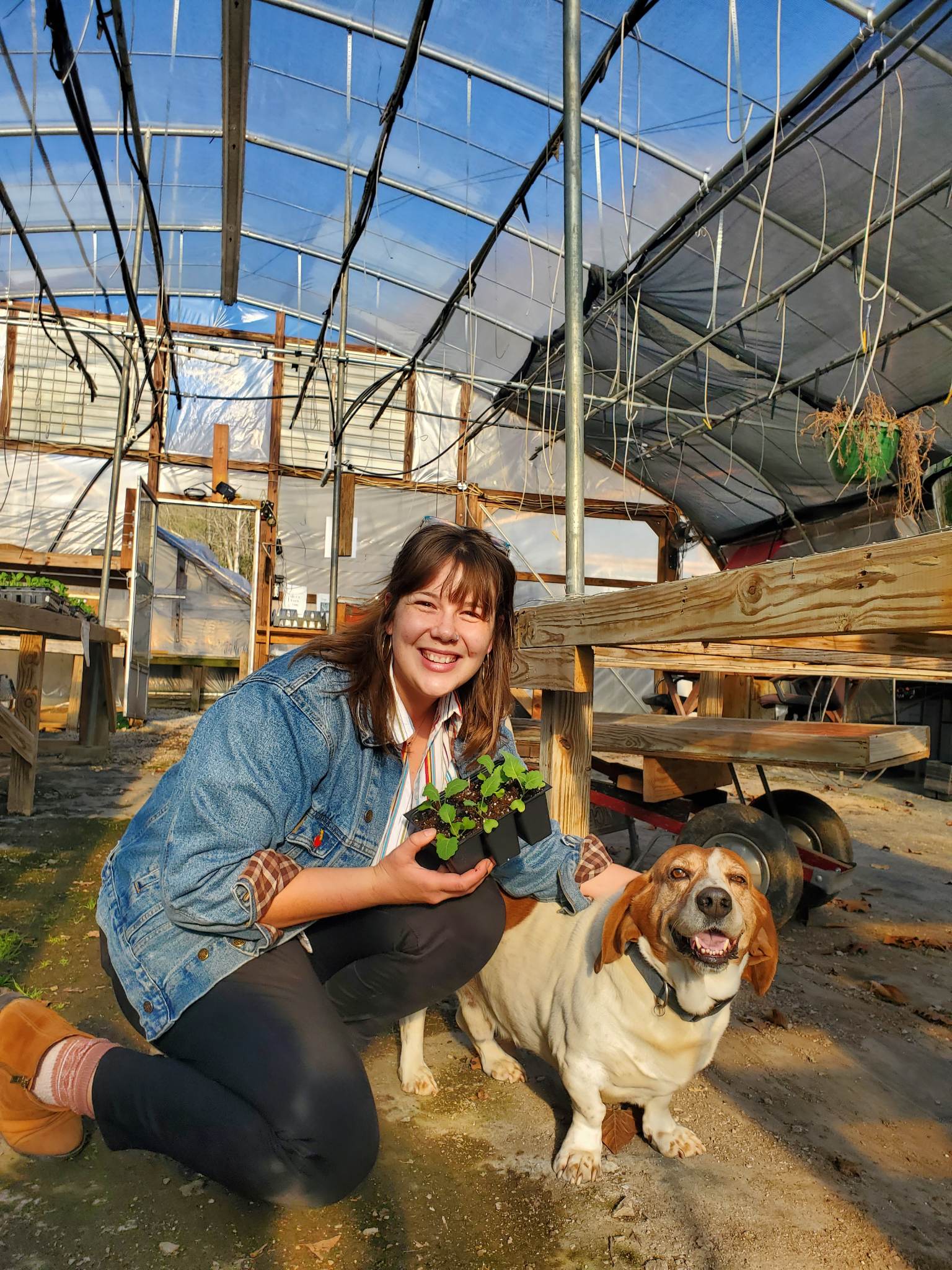 plant place w hambone