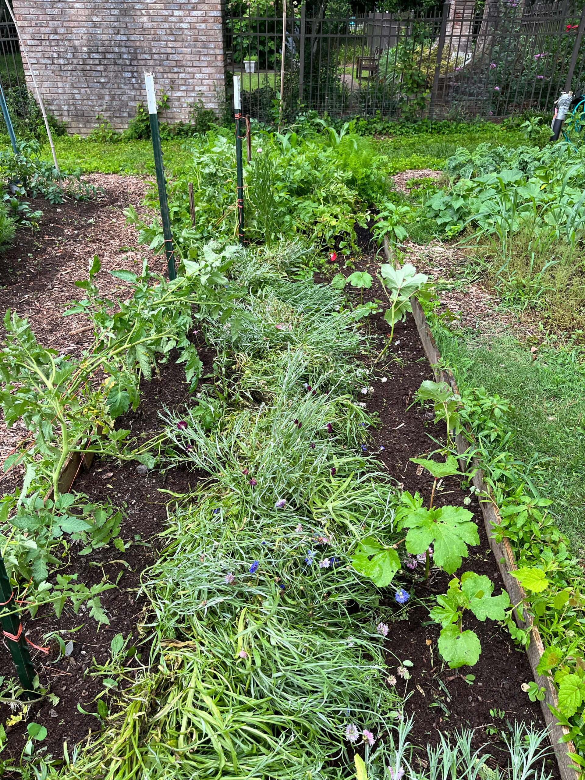 Casey’s Garden (2)