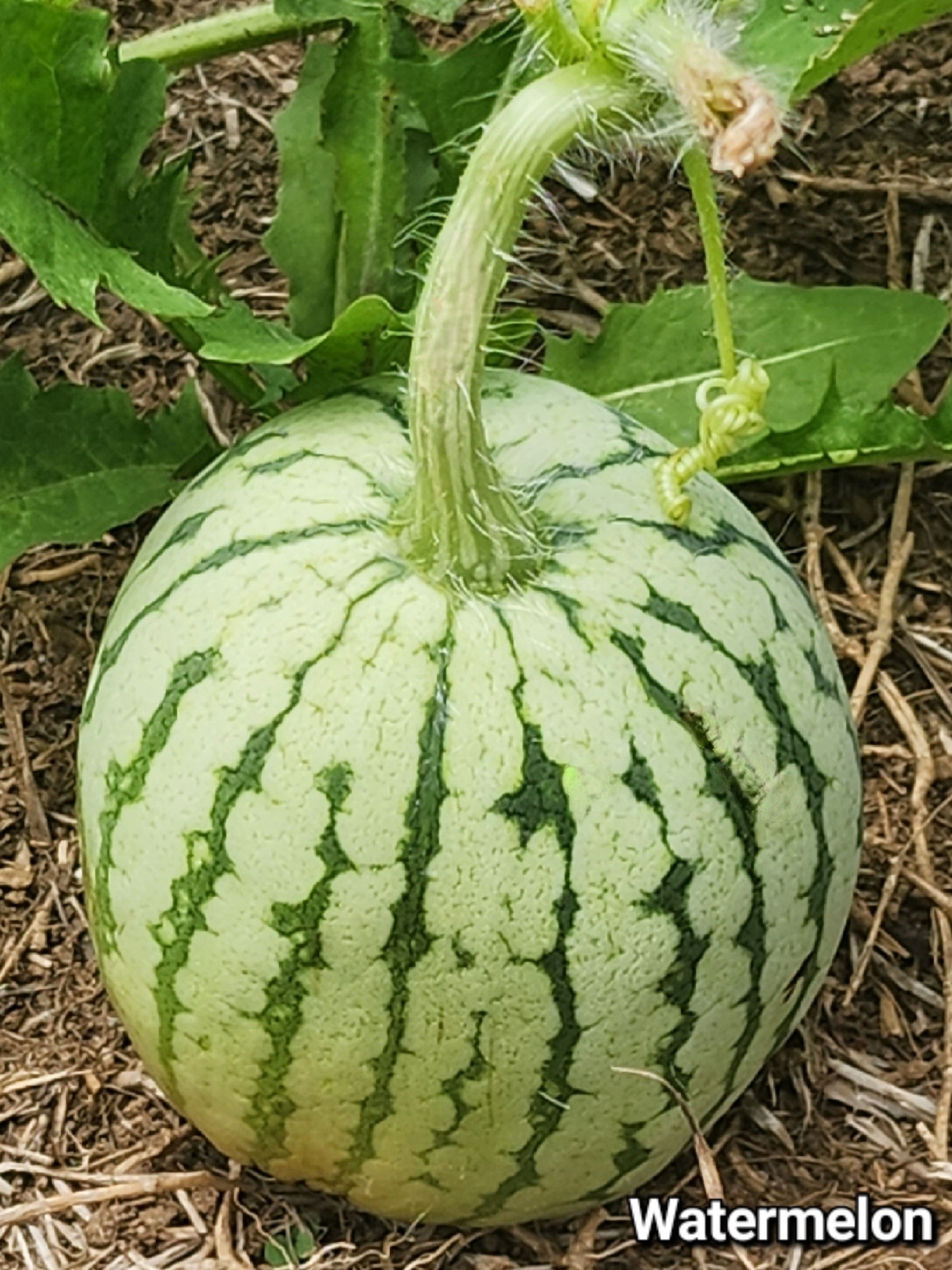 20230727_143116