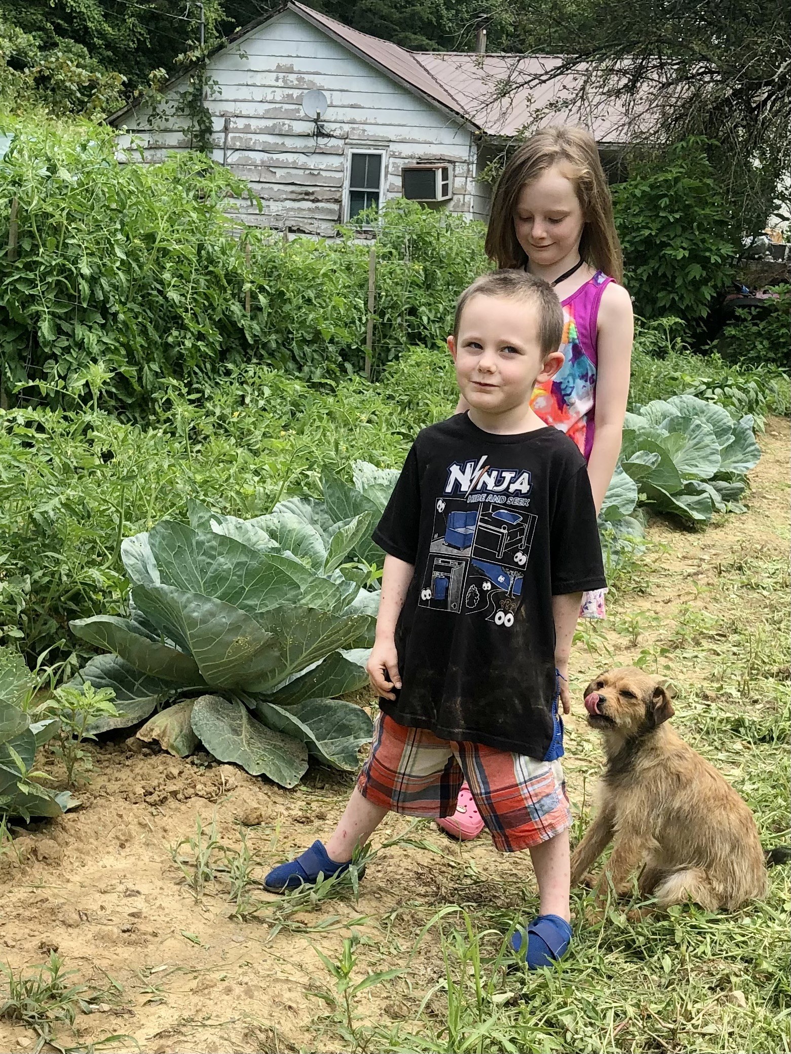 cabbage patch kids