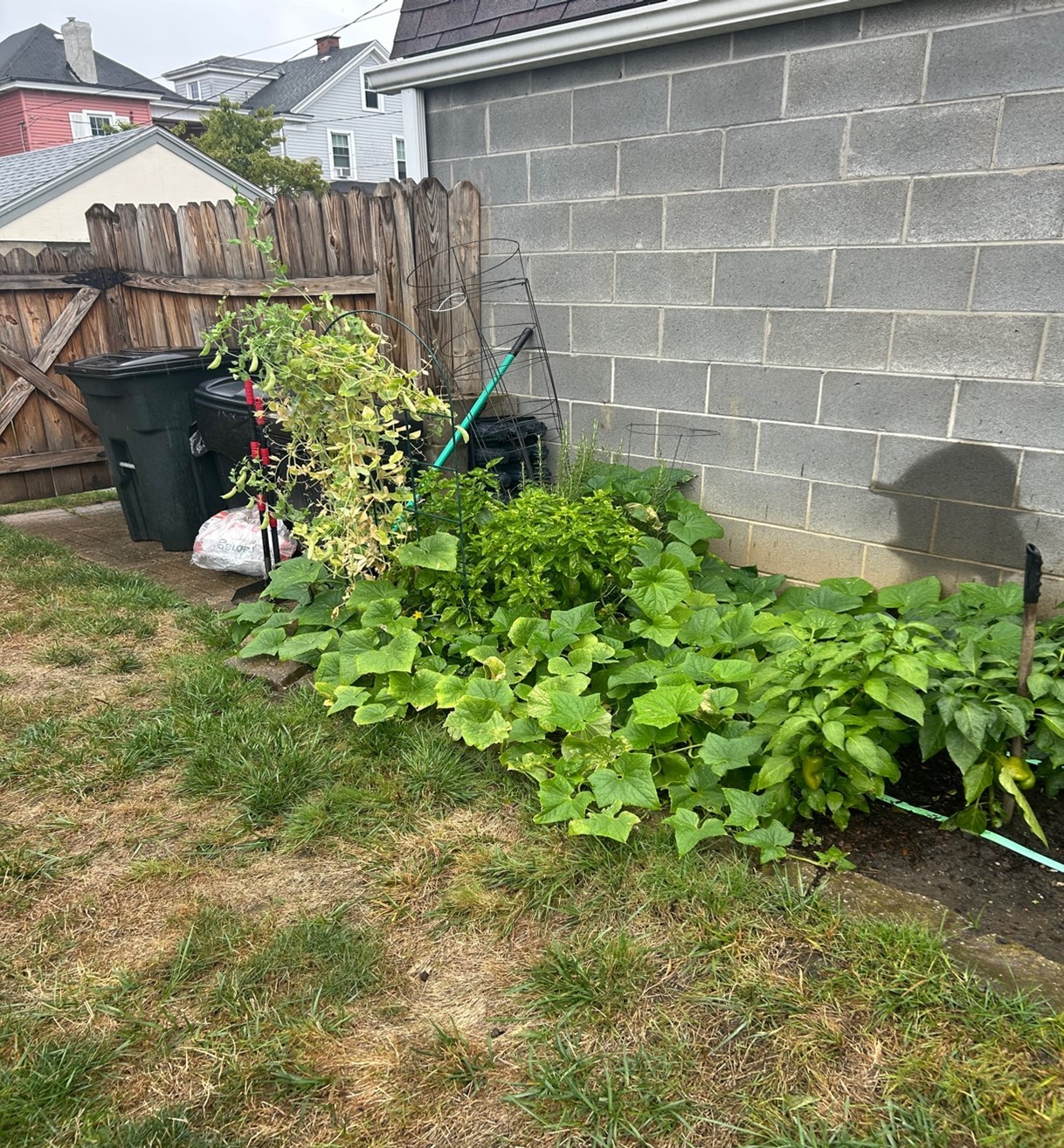 Picture1