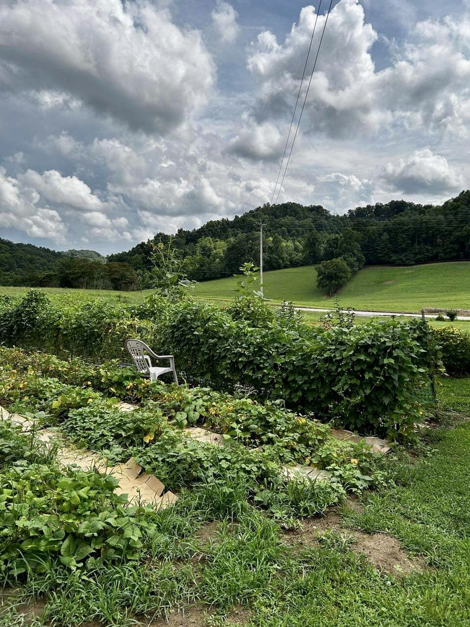 Appalachian garden visit