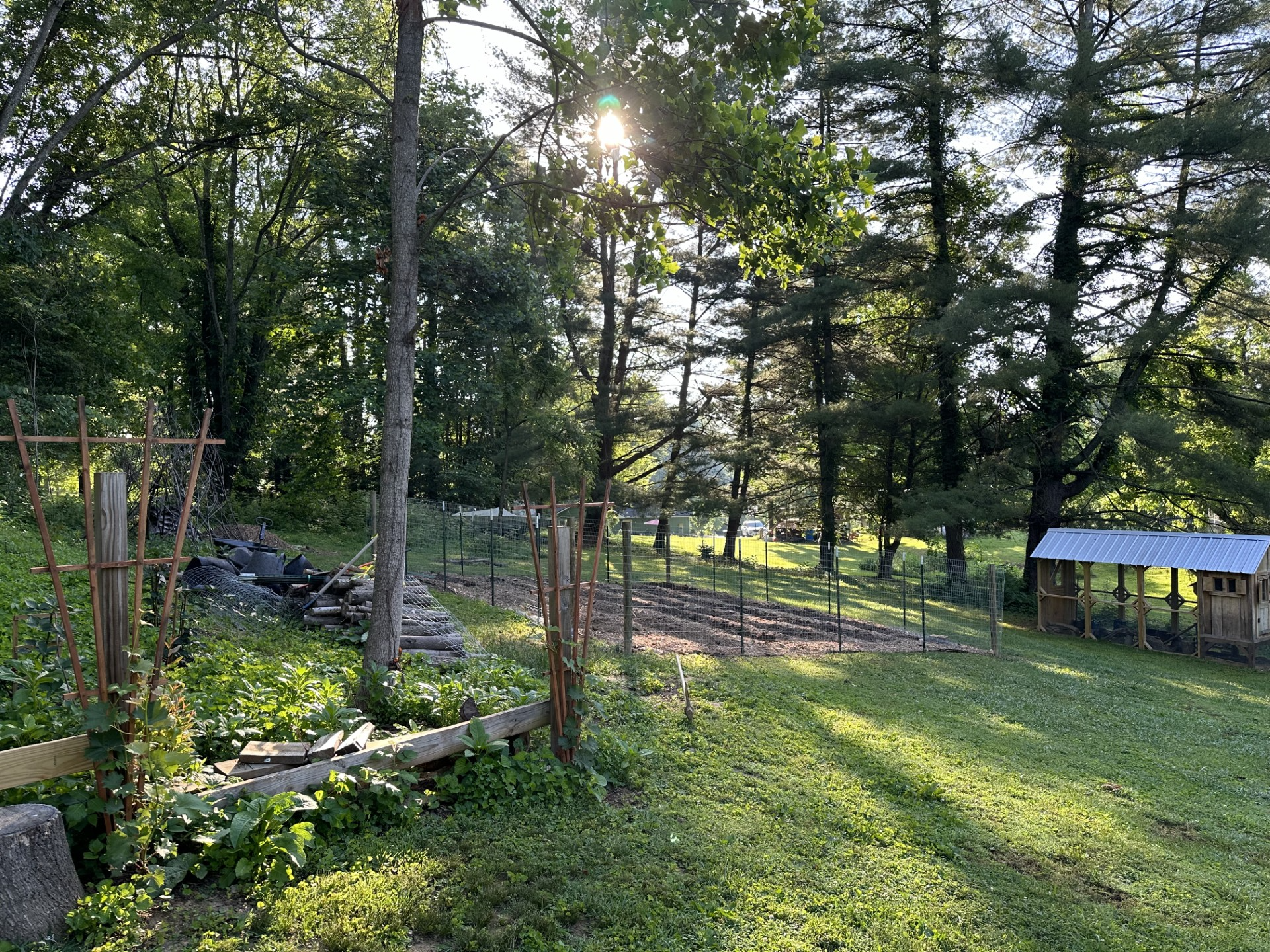 previous burn pile