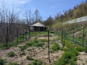Getting the garden site ready at the beginning of the season