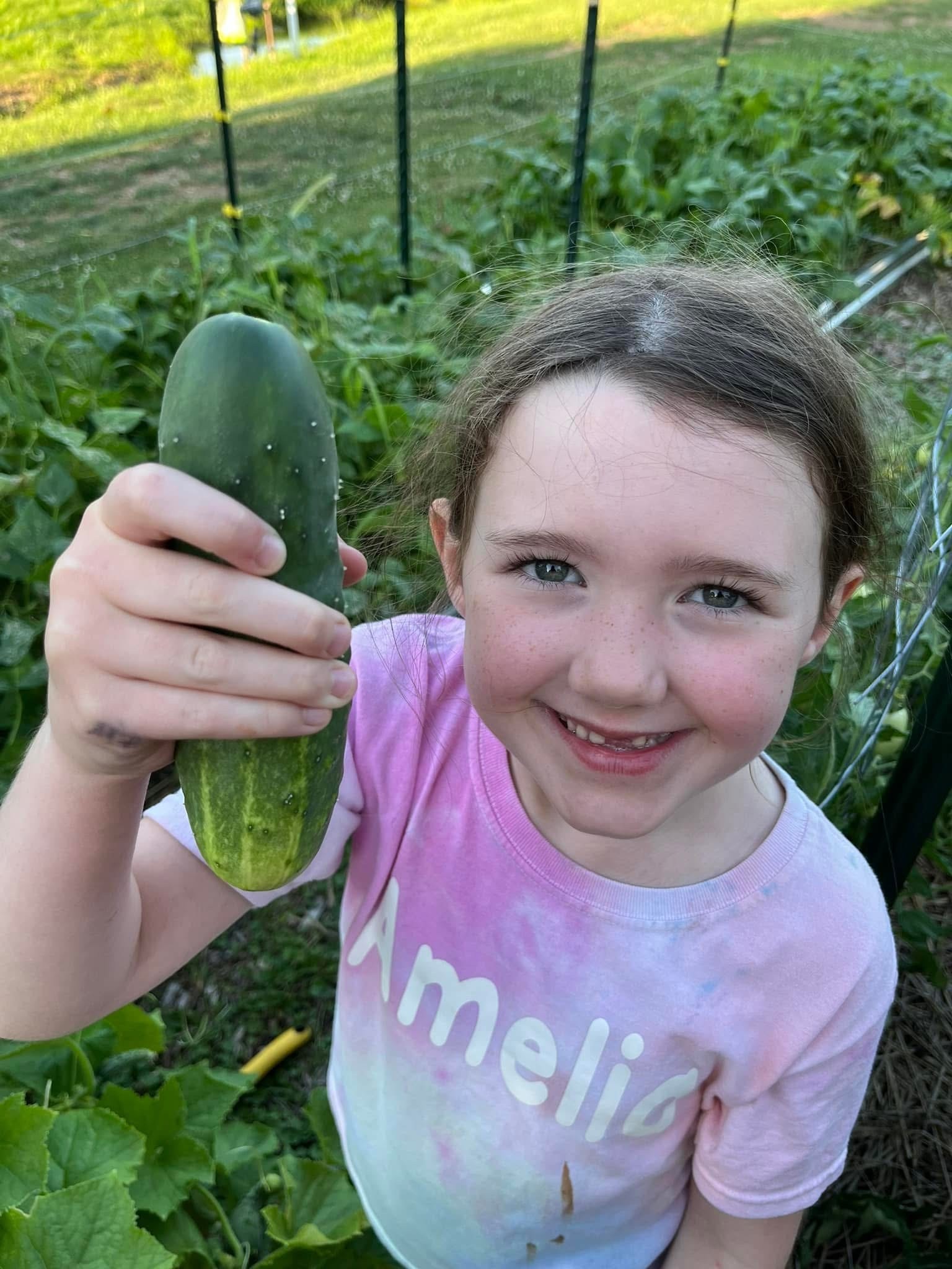 growing cukes