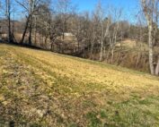 The calm before the storm of gardening