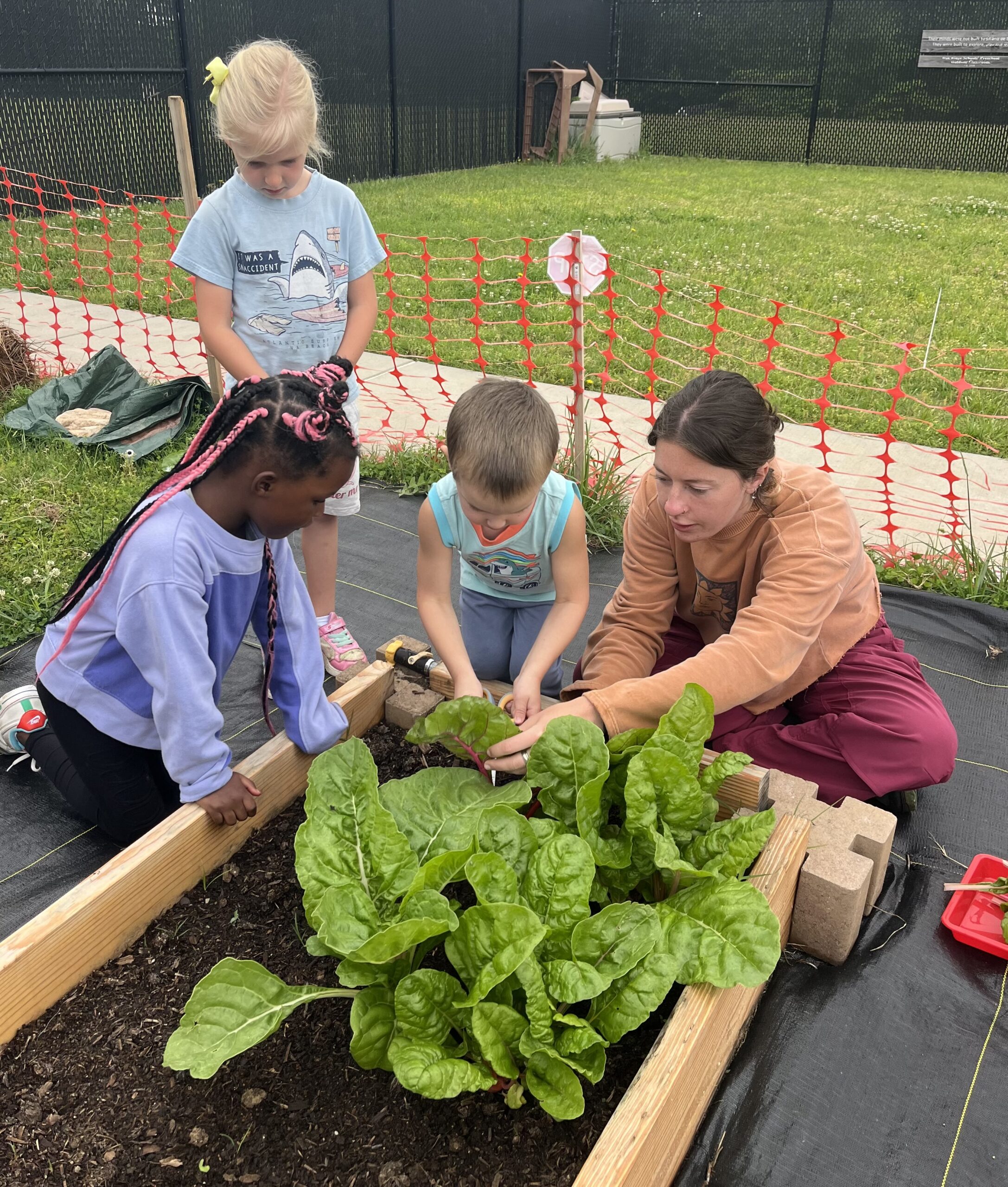 Katie Roach Garden Grant Site Group of children planting in a raised garden bed with an adult