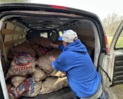 Spring Seed Potatoes