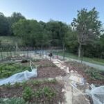 Zoom out of a large garden with multiple beds and paths between the beds.