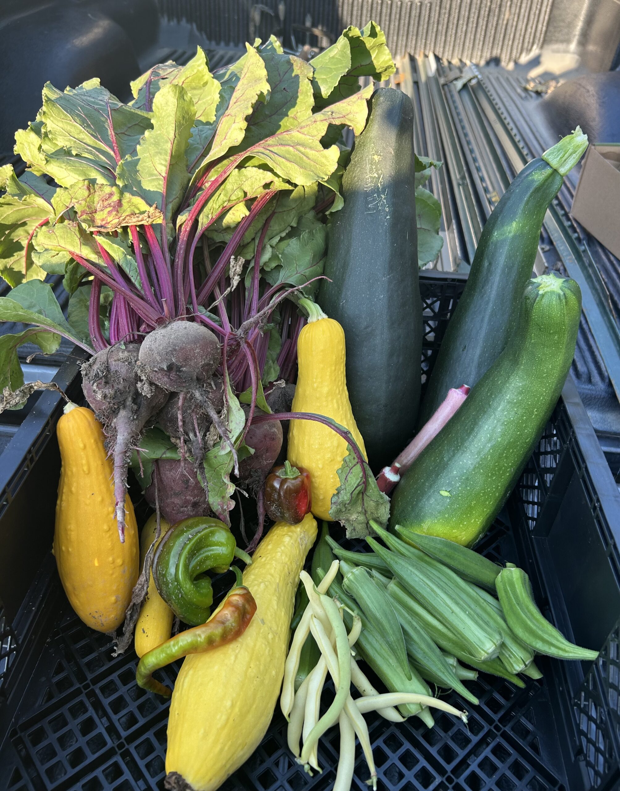 BYG Harvest